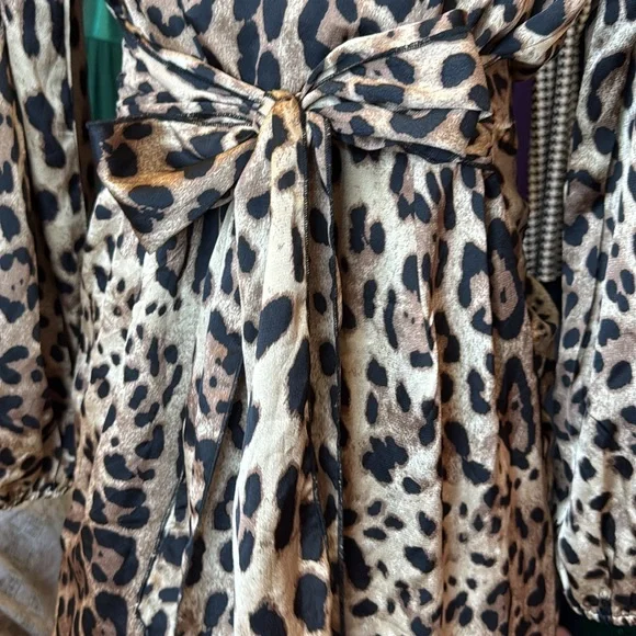 Fashion Nova SZ M Leopard Print Button-Up Dress NWT - Picture 2 of 7